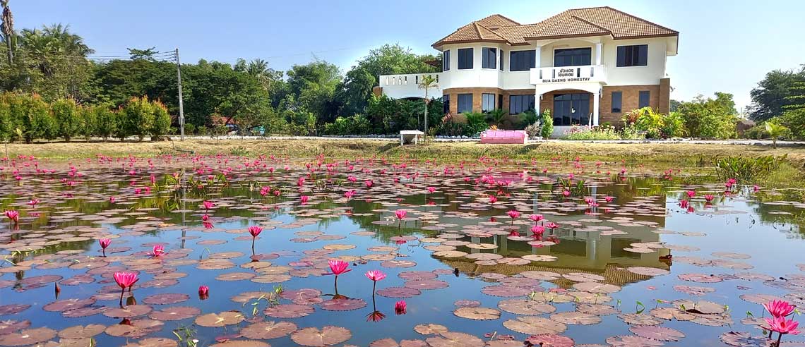 Welcome to Bua Daeng Homestay Resort