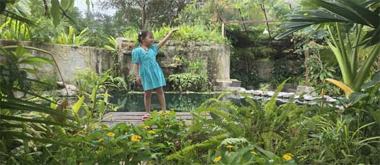 camping at talay bua daeng red lotus lake